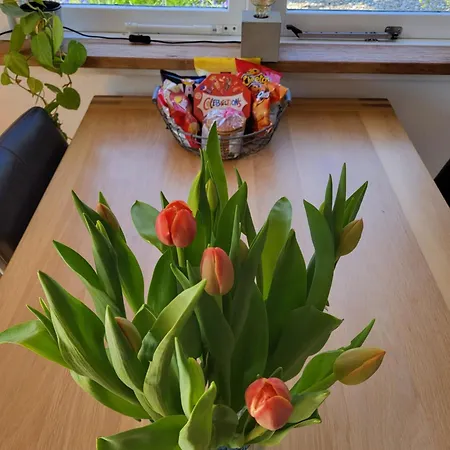 De Gortla Oosterblokker